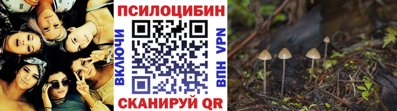 Галлюциногенные грибы Psilocybine cubensis  blacksprut как войти  Гусиноозёрск 