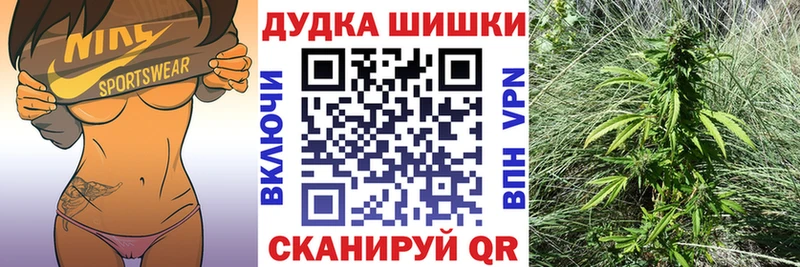 Бошки марихуана марихуана  даркнет сайт  Гусиноозёрск 